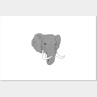 Elephant portrait Posters and Art